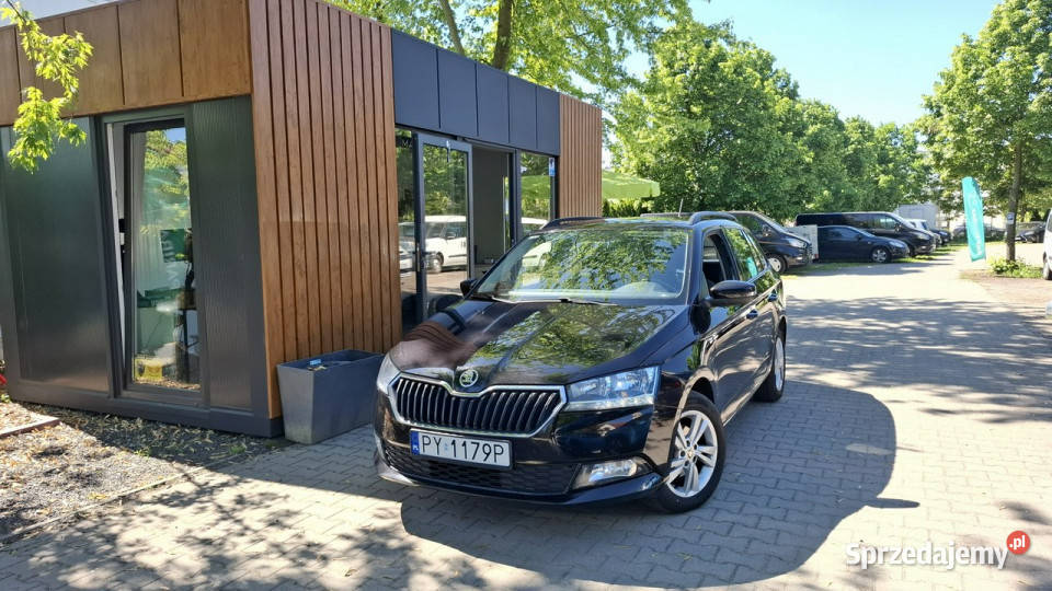 koda Fabia Salon Polska III 2014 światła przeciwmgielne wielkopolskie Poznań