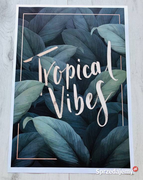 Obraz plakat liście zielony tropikalny 21 x 30 Łódź