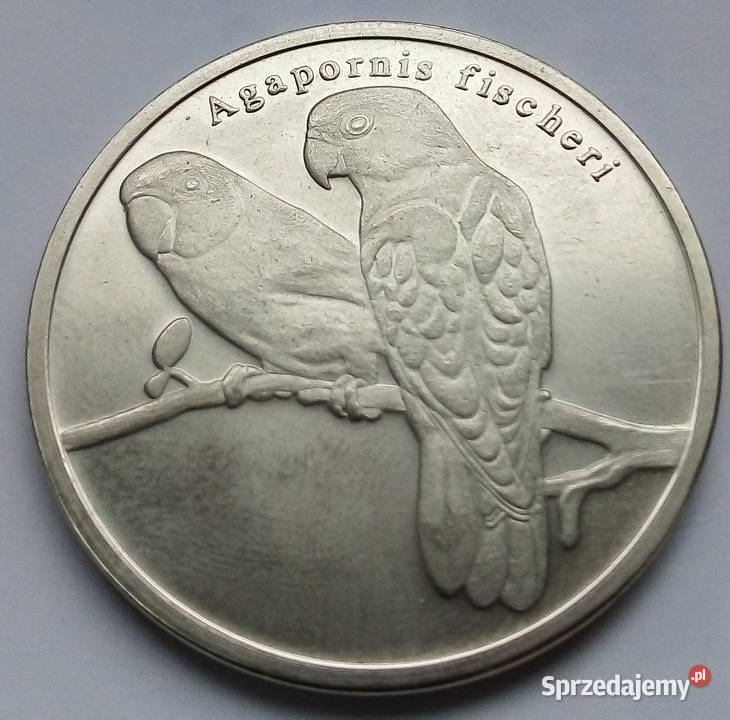 CISKEI RPA 5 RAND2018 rPAPUGI Legionowo sprzedam