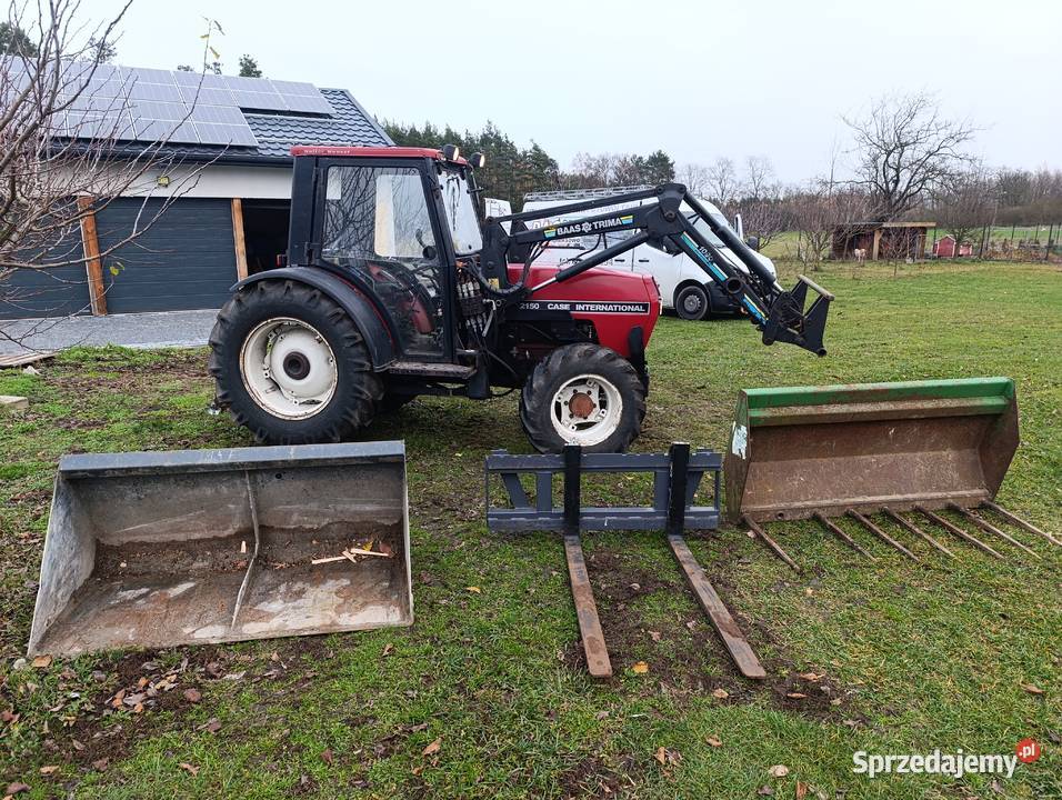 Caiagni sadowniczy Potkanna