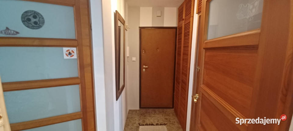 Stary ŻoliborzZajączka 39m2 dwupokojowe Wynajem Warszawa