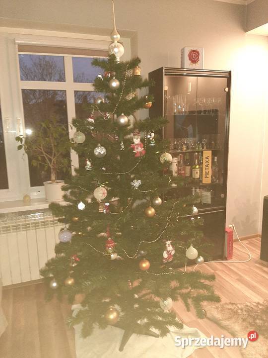 Choinka 180 Zabrze
