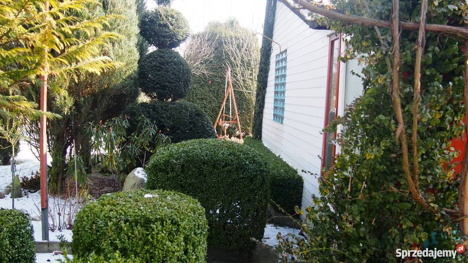 ogródek działkowy Sochaczew