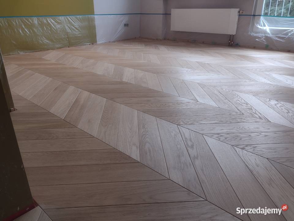 Jodła francuska Lublin