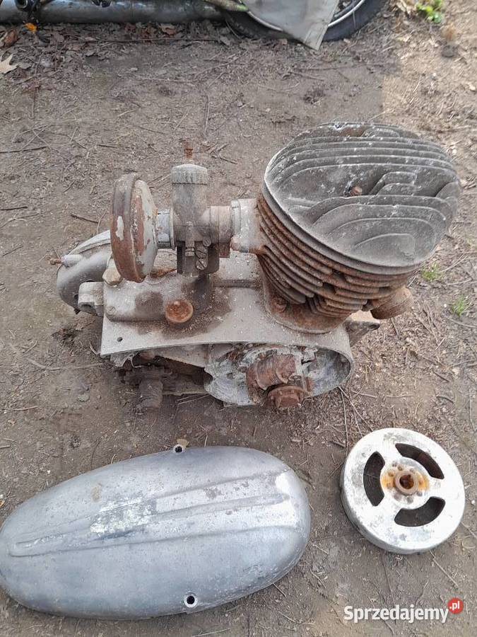 Silnik pannonia dolnośląskie Świerzawa