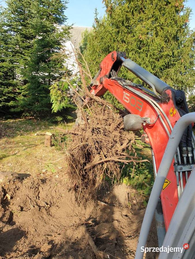 Rozbiórki Wywóz Gruzu wycinka drzewkoszenie mazowieckie Pionki