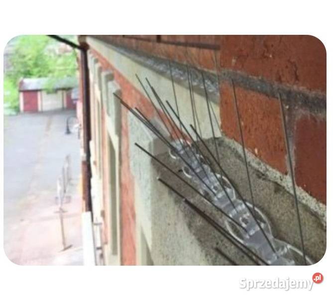 Kolce na gołębie wrony wróble Nierdzewne nie sprzedam