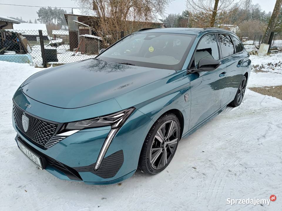 15 Salon 1 Właściciel Najbogatsza wyp Niski Gołaczewy