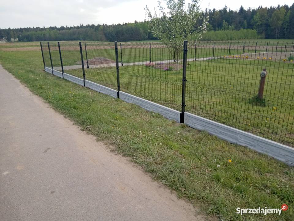 Panel ogrodzeniowy 133 40 ocynkRAL Starachowice