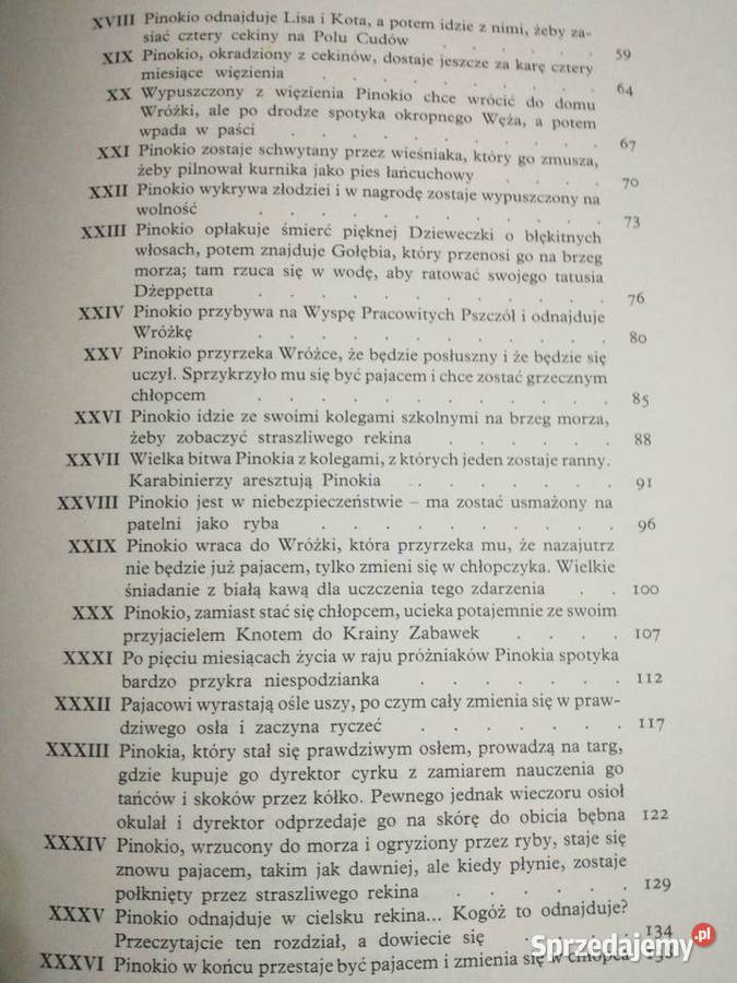 Pinokio Carlo Collodi lubelskie