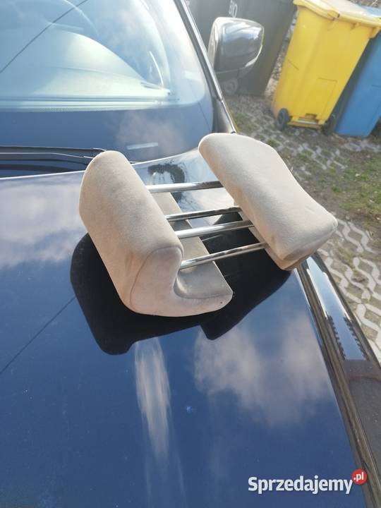 Zagłówki Peugeot 207