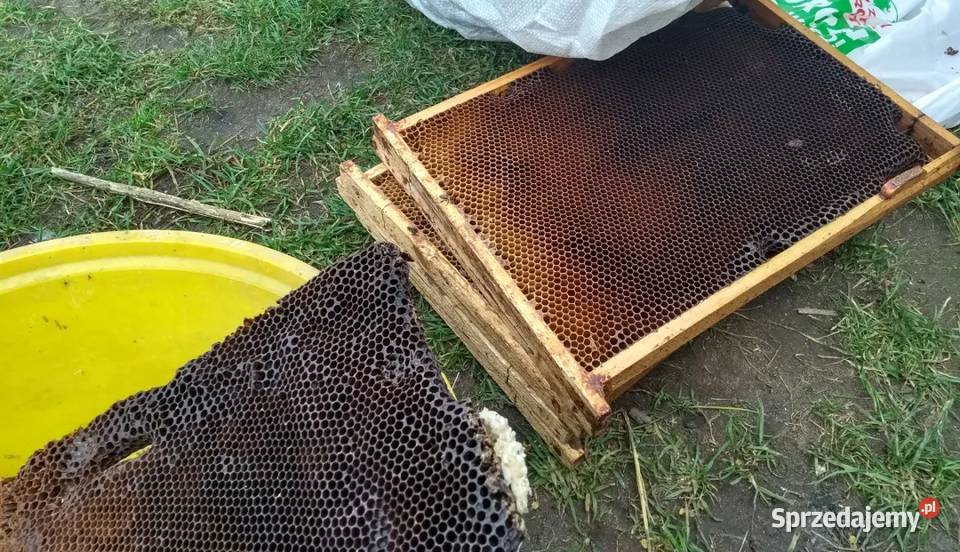 Paski do ochrony pszczół węzy pszczelej Olsztyn sprzedam