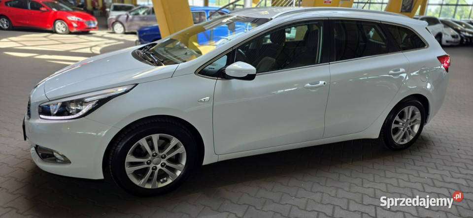 Kia Ceed 20142015 Opis W podanej roczna możliwa zamiana Mysłowice sprzedam