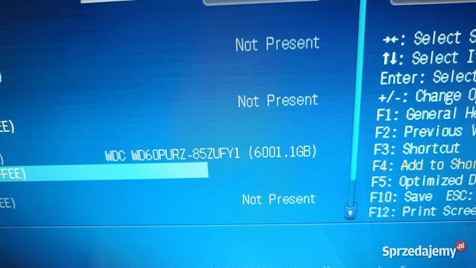 Dysk twardy WD60PURZ 6TB wielkopolskie Poznań