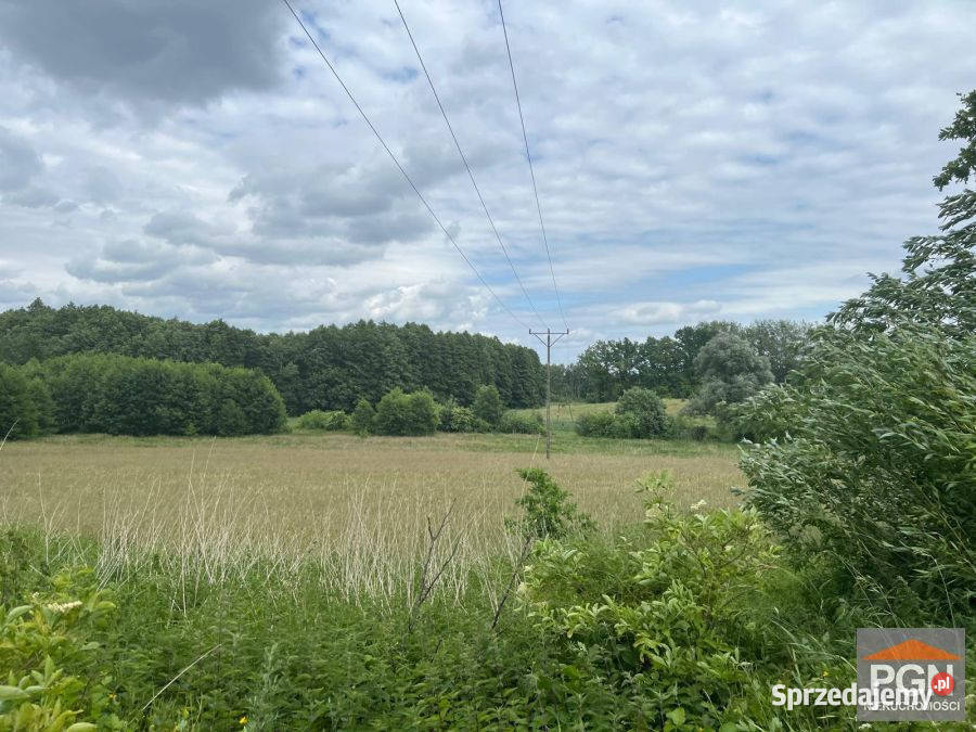 Działka 7300m2 Ościęcin 4zł/m2