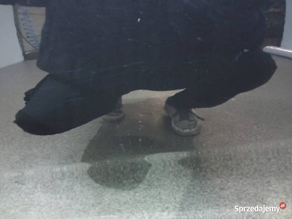 DRZWI PRAWE TYL LC9Z Seat Leon II 20052012