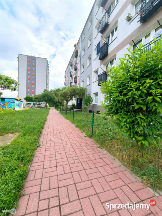 Mieszkanie Kielce 261m2 1 pokój własność świętokrzyskie