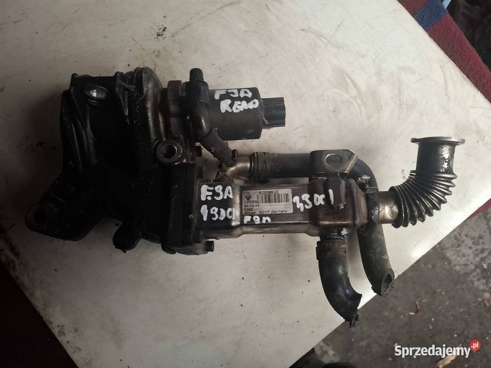 RENAULT LAGUNA MEGANE 19 DCI chłodnica spalin Kielce