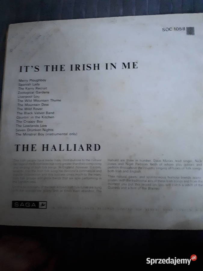 The Halliard Its the Irish in me