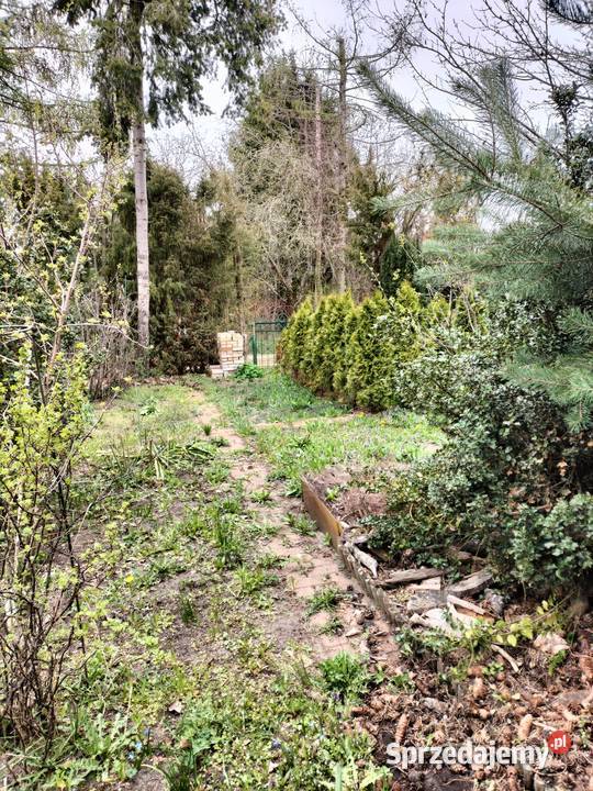 Działka ROD Skowronek Kajetany koło Nadarzyna 300m2