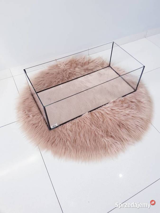 Akwarium terrarium aquaterrarium żółwia Dąbrowa Górnicza