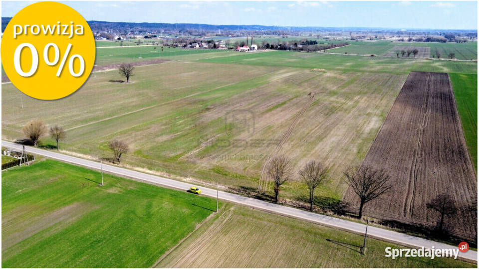 Grunt 449 ha z koncepcją 5 domów Jenin 0