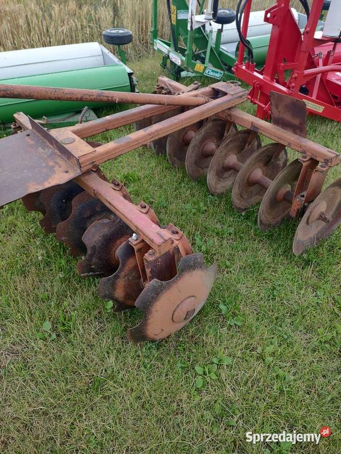 Talerzówka świętokrzyskie Śniadka Druga