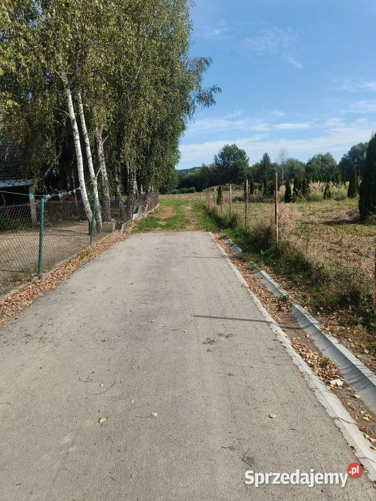 Wydzierzawie działkę Kielnarowa 30 arów