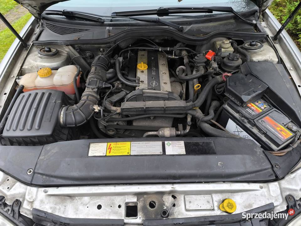 opel omega b w jednych rękach 20 lat mazowieckie Radom