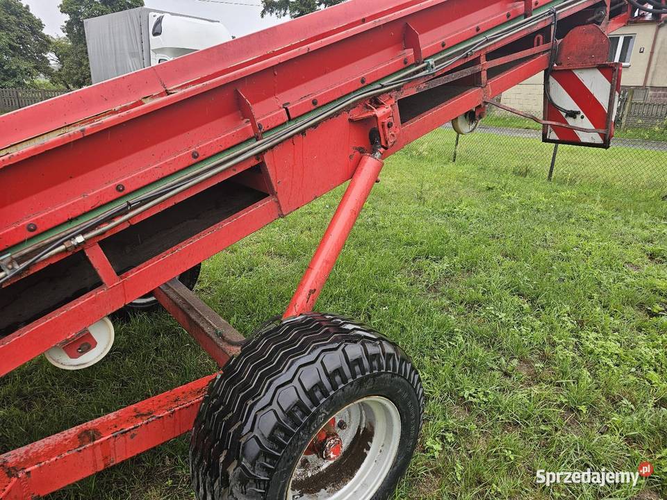 Taśmociąg podajnik bunkier kosz zasypowy Gniezno