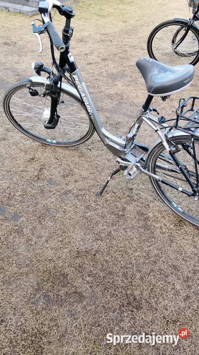 Rower elektryczny pegazus wielkopolskie Konin