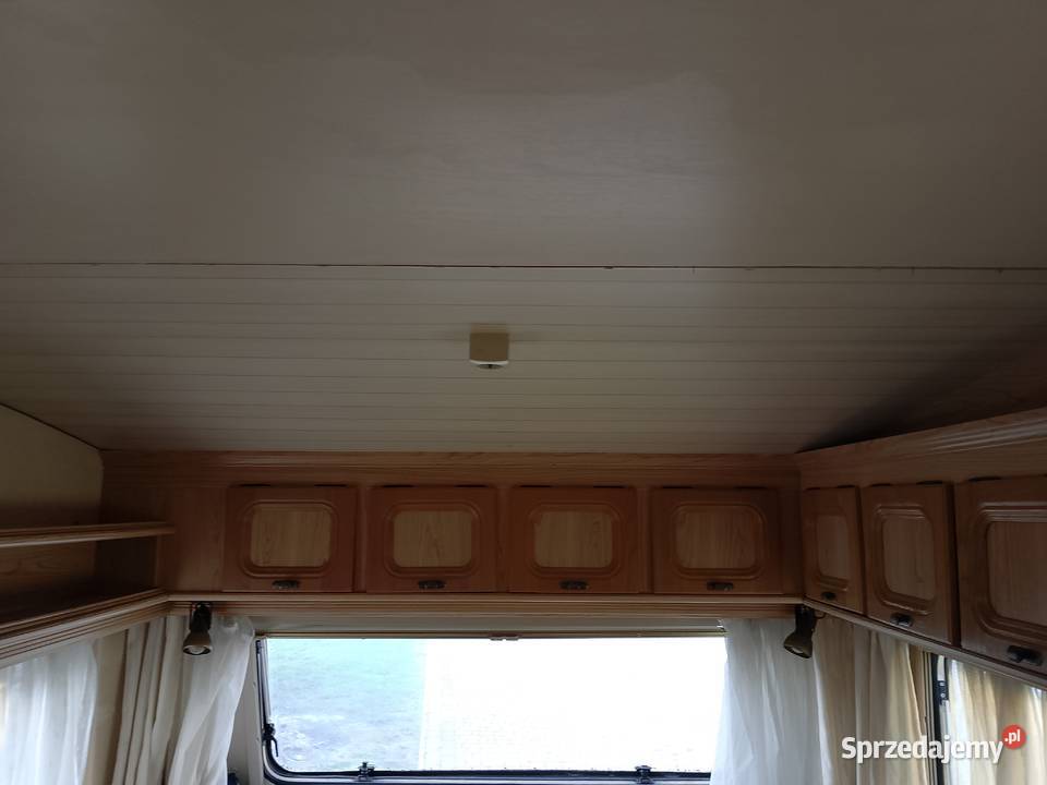 Lord Munstreland 420 m 1988 Zarejestrowana lubelskie Chełm