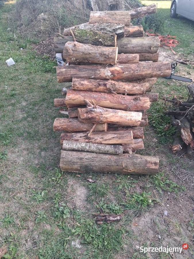 drewno sosnowe suszki i mix wierzba klon Pozostałe Lublin