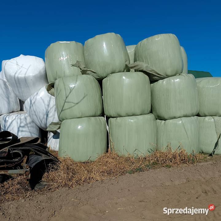 Sianokiszonka bale i siano Gogolin