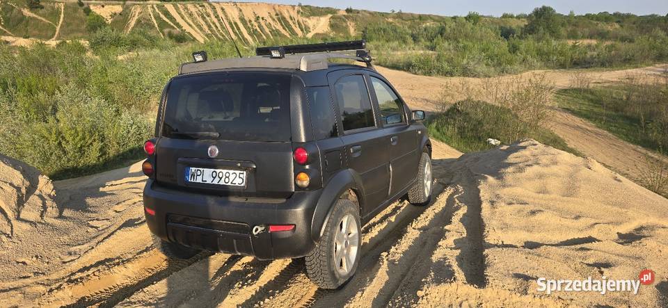 Panda 4x4 Cross Kępa Polska sprzedam