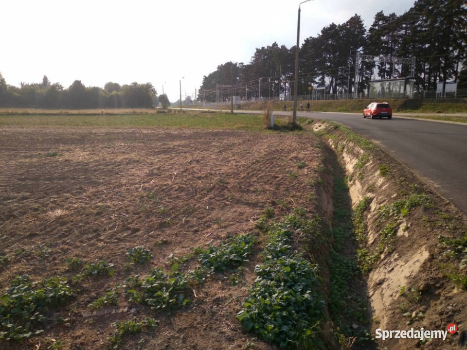 Spokojna działka Lublina 8min Warszawy 15h lubelskie Stasin