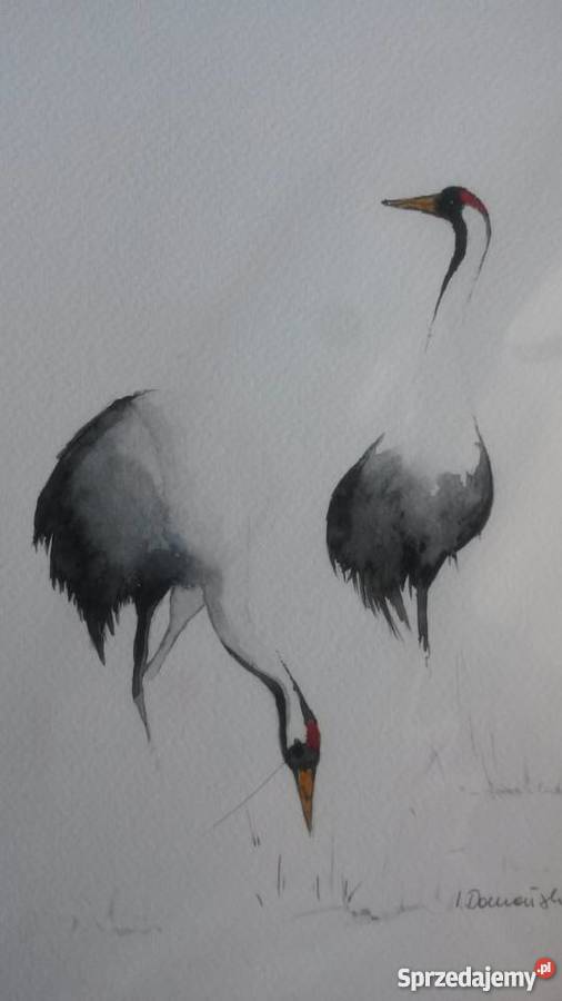 Żurawie symbol szczęścia akwarelka Warszawa