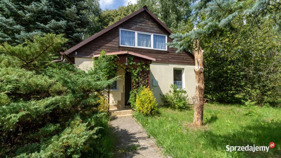 Lokal sprzedam Borysówka handlowo-usługowy