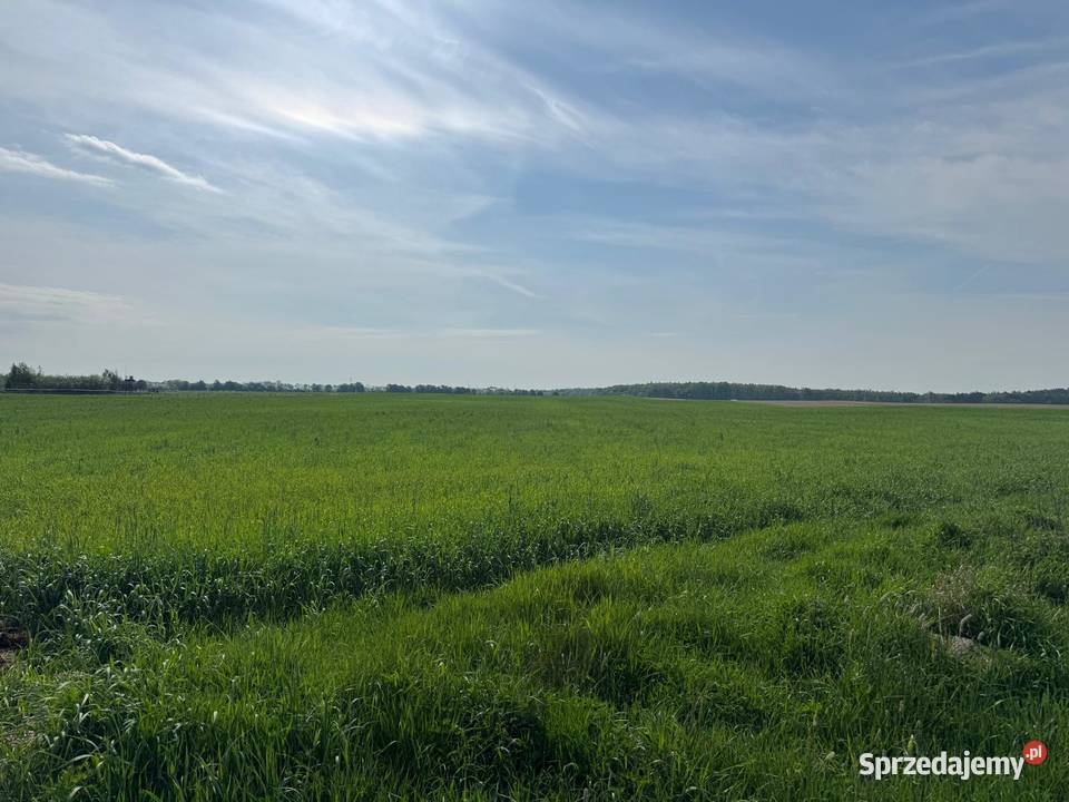 Sprzedam działkę budowlaną 63m wielkopolskie Daleszyn