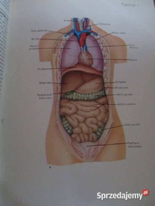 Domowy poradnik medyczny zioła ziołolecznictwo łódzkie Łódź