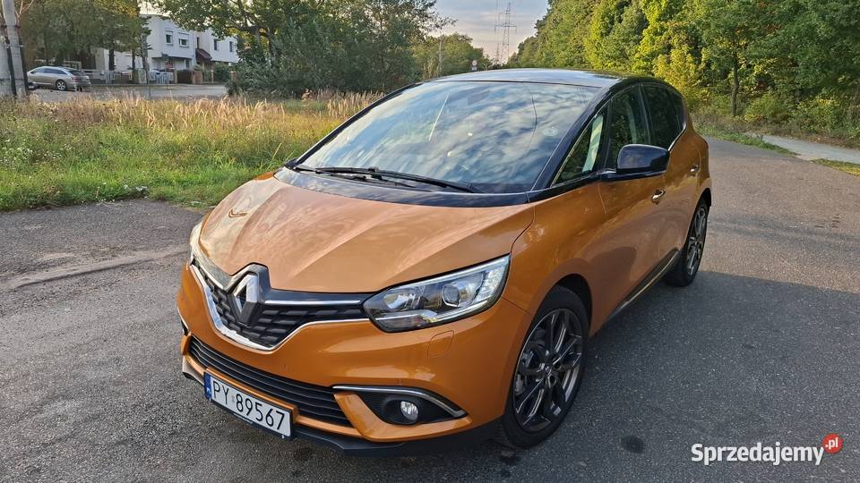 SCENIC IV 125000km Poznań
