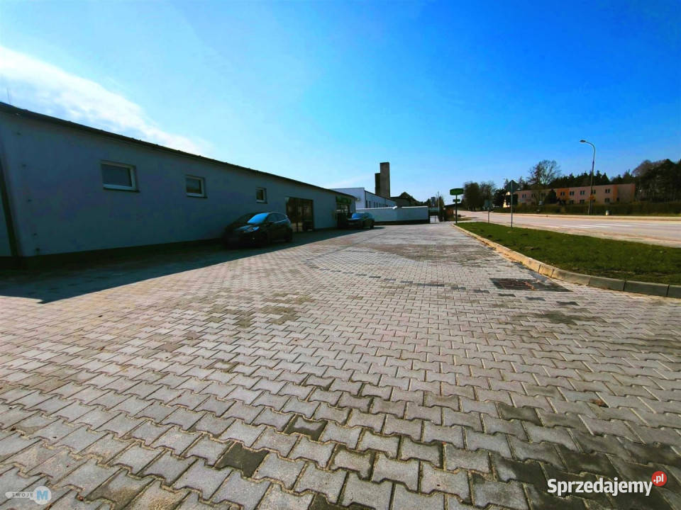 Lokal Sędziszów 90m2 90m2 Wynajem