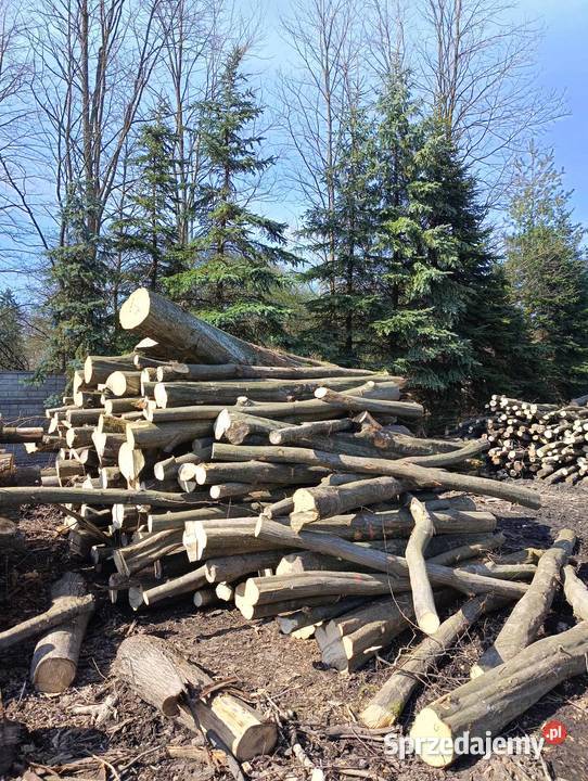 Drewno w wałkach S2A 250 Sosna Brzoza Dąb i Buk Opał Bolesław