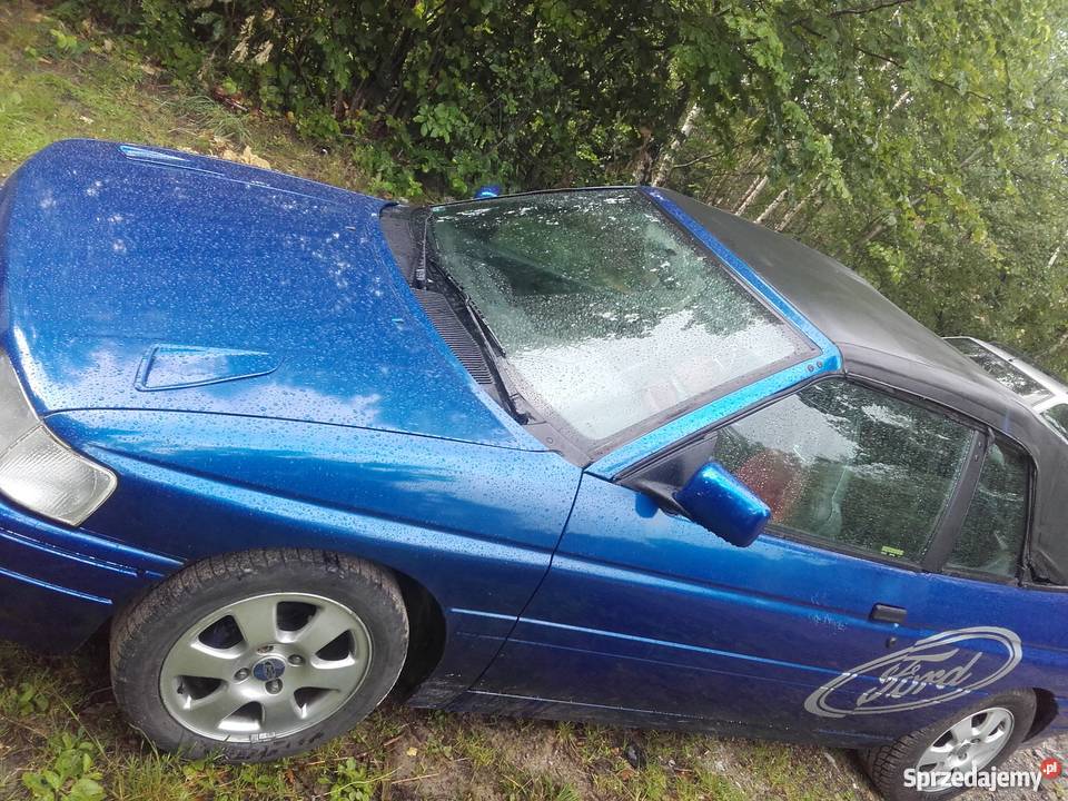 Ford escort poduszka powietrzna Wyręby