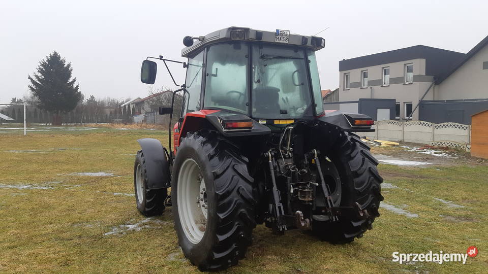 Masowy Ferguson 6245 łódzkie Pajęczno