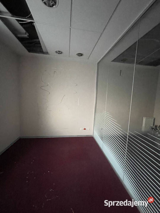 Lokal do wynajęcia parterPrzedmieście Oławskie dolnośląskie