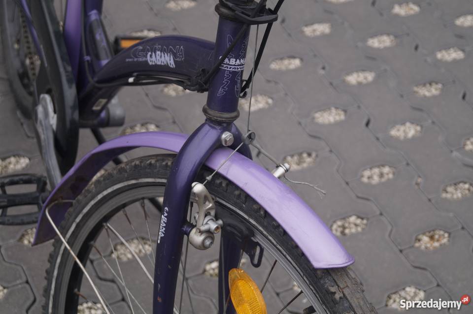 Batavus Gabana wielkopolskie Gniezno