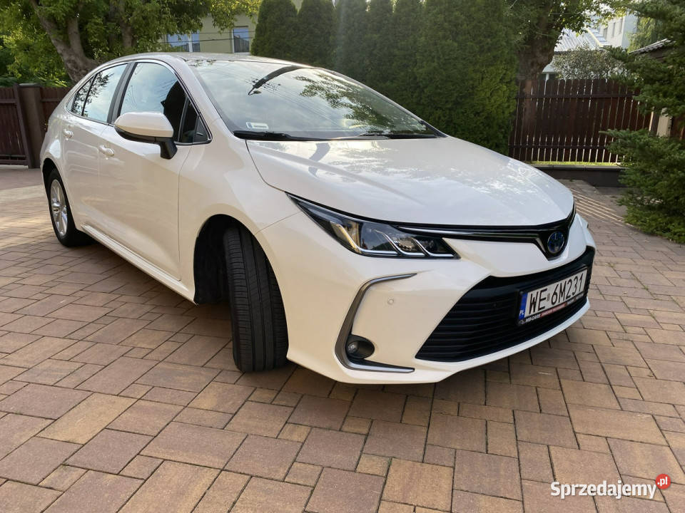 Toyota Corolla I Wł Kraj Bezwypadkowy 100 Serwis