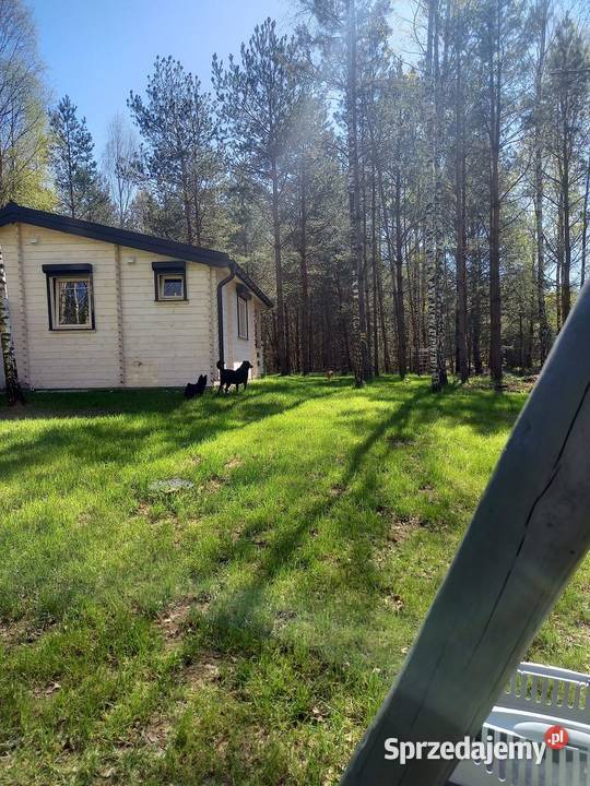 SosnowaOdnowa domek letniskowy na wyłączność warmińsko-mazurskie Rybno