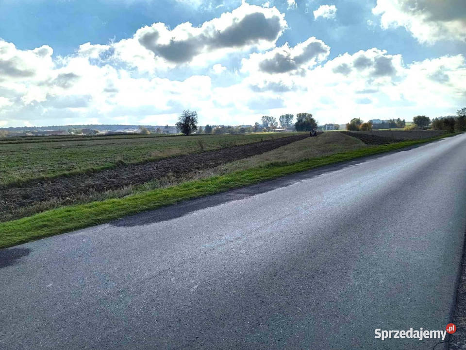 Grunt sprzedam Borków 11200m2 sprzedam